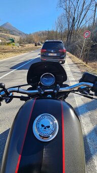 HARLEY DAVIDSON ROADSTER 1200 - 7
