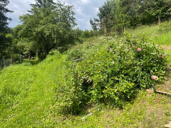 RD blízko centra Brezna - ideálny na chalupu - pozemok 3142 - 7