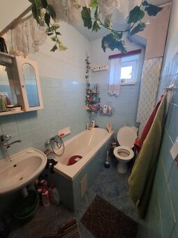 RODINNÝ DOM - ČECHYNCE - 1530m2 POZEMOK - POVODNY STAV - 7