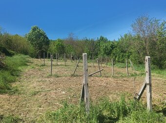 Čistenie pozemkov, údržba záhrad - 7