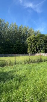 Ustajnenie - 7