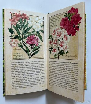 LIEČIVÉ BYLINKY + PRÍRODNÁ LIEČBA - 7