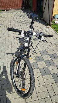 Merida matts - 7