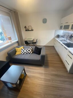 2 izb. byt v na  prenajom s možnosťou pet friedly. - 7