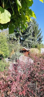 Dom s bazénom na predaj Zlaté Moravce Limitovaná ponuka - 7