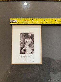 Brunovsky albín - 7