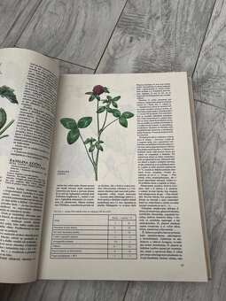 Atlas liečivých rastlín a lesných plodov - Kresánek J. - 7