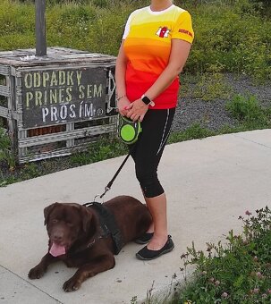 Stráženie psov - 7