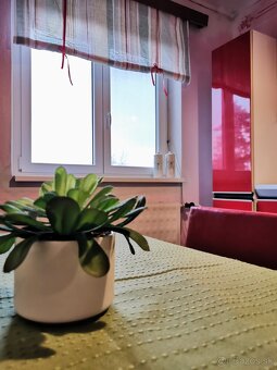 Dom s potenciálom polyfunkčného využitia T. Mlyňany - 7
