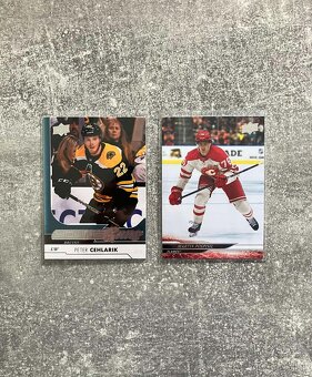Hokejové kartičky Slováci v NHL - 7
