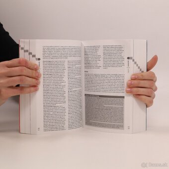 Japonsko - český turistický sprievodca Rough Guides - 7