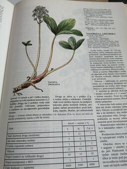 Atlas liečivých rastlín a lesných plodov--1982--Kresánek Jar - 7