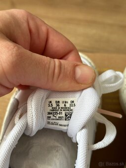 Puma. - 7