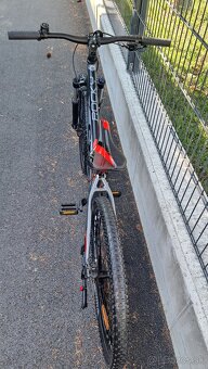 CTM ROCKY RACE - 7