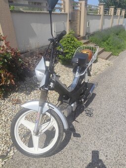 Manet Korado AKCIA - 7