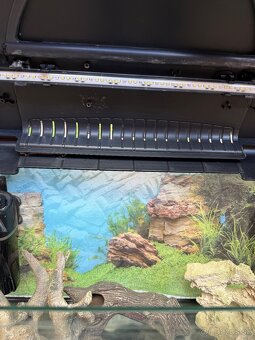 Akvárium DIVERSA 54L+komplet prislusenstvo - 7