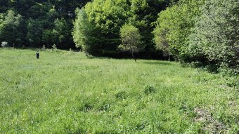 Predaj: Pozemok 1410m2 na stavbu domu,chaty,farmy vo Veľkom - 7