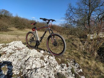 Horský bicykel 26 Focus Fatboy - 7