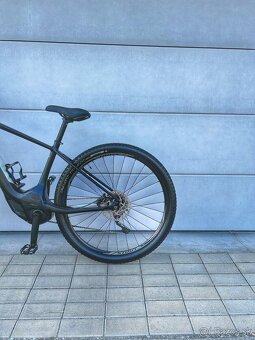 Specialized Turbo Levo Hardtail / 29" / M / - 7