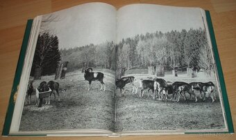 Naše obory - 7