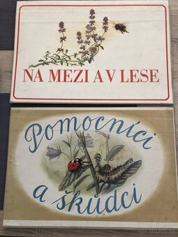 súbor školských plagátov rok 1955 - 7