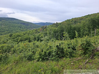 NOVÁ CENA  Rozsiahle lesné pozemky v Podpoľaní - 7