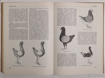 Naučný slovník zemědělský 9 - 7