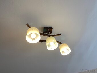 Luster - 7