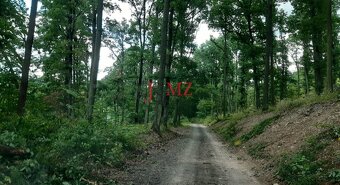 Pozemok 5.200 m2 , šírka 35 m, Horné Jabloňovce (SM - 829) - 7