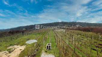 Rekreačná chata, vinohrad 608 m², Jelenec, Nitra - 7