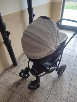 Camarelo malaga - 7