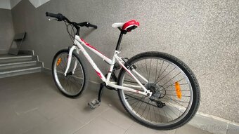 Bicykel Galaxy Ruby - 7