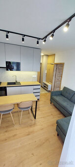 Prenajmem 1i byt s balkónom DCA Centrum I - 7