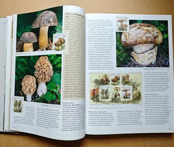 HUBY - VEĽKÁ ENCYKLOPÉDIA - 7