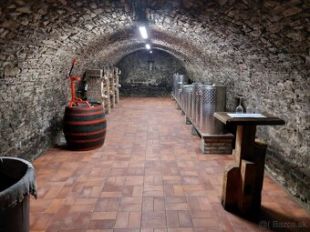 Na predaj vinohradnícka usadlosť v Skalici - 7