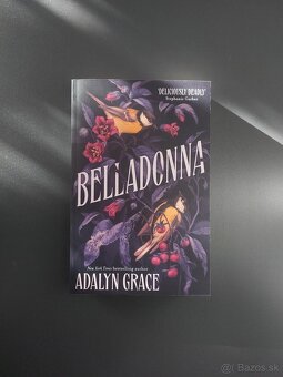 Anglická beletria - 7