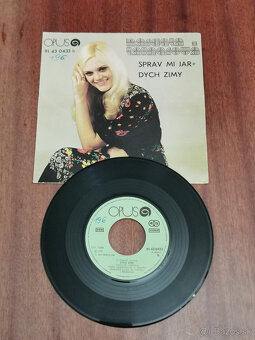 SP platne Marcela Laiferová - 7