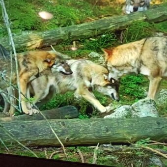 Samsung led tv (165cm)UE65CU7172U - 7