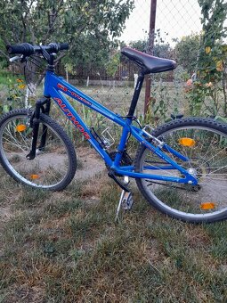 Author 24ka bicykle - 7