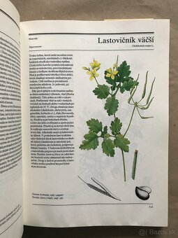 Avantgarda 38, Z našej prírody, Veľká kniha liečivých rastlí - 7