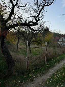 Predaj Záhrada 415m2 Červený Breh Žľaby Košice Sever, KE I - 7