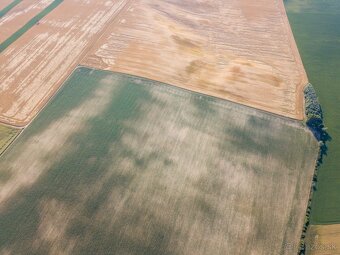 Pastuchov (Hlohovec) - 9.956 m2 ORNÁ PÔDA v komasácii - 7