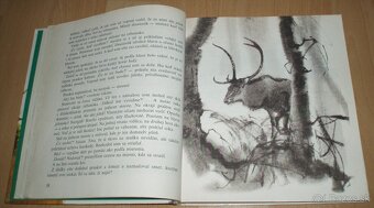 Z poľovníckej kapsy - 7