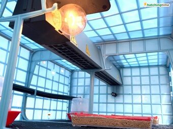 Odchovňa hydiny CIMUKA CB25-03-1K - 7