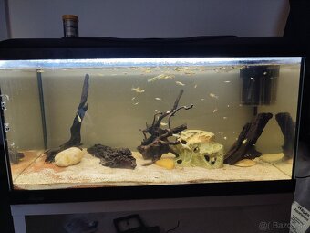PREDÁM 120L AKVÁRIUM - 7