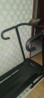BEZECKY PAS KLARFIT - 7
