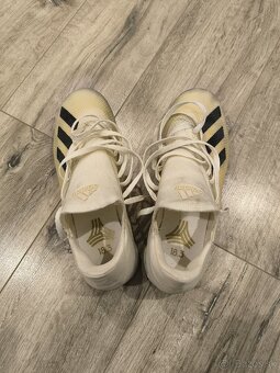 Tarfy Adidas - 7