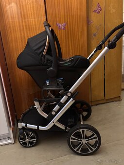 Kocik Gesslein sivy - 7