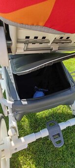 Kočik Bexa - 7