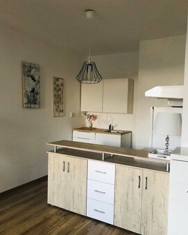 Pokojné bývanie pri lese a jazere – 1-izbový apartmán v Rezi - 7